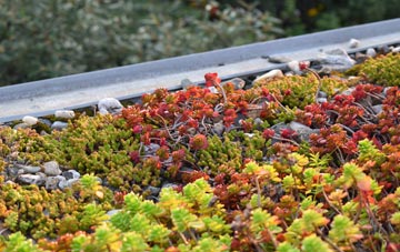 the cost of Minffordd green roof installation
