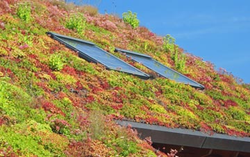 Minffordd living roof systems